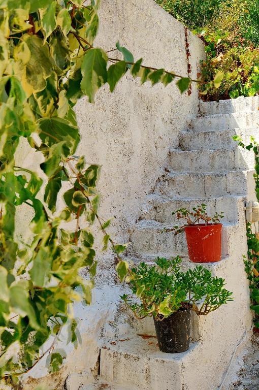 Markella Studios Zakynthos Island Kültér fotó