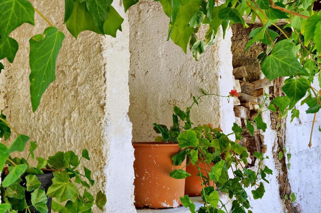 Markella Studios Zakynthos Island Kültér fotó