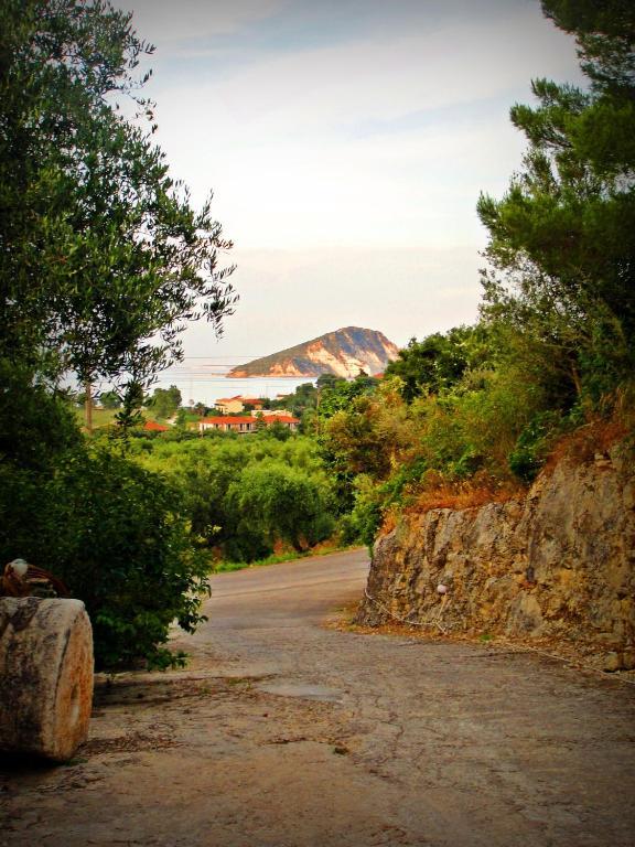 Markella Studios Zakynthos Island Kültér fotó
